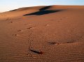 Ansons Sand Dunes